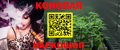 стафф Аргун