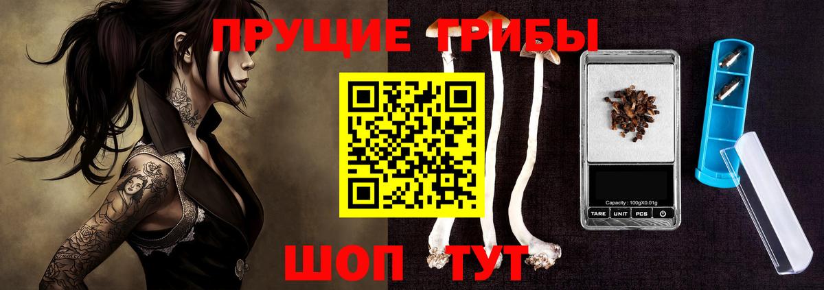 Псилоцибиновые грибы мухоморы  Вход с VPN  купить наркоту  Владикавказ 